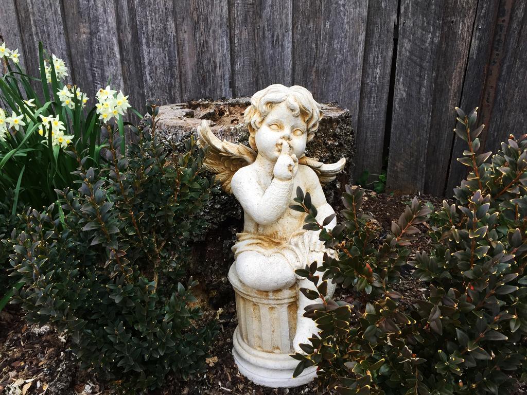 Ellie'S Place On City Park Launceston Bagian luar foto